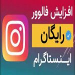 فالور رایگان از کجا بخریم؟